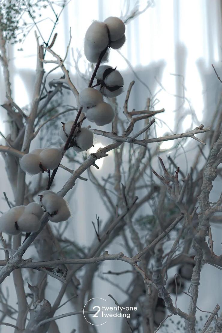 干净通透的婚礼照片,法式婚礼主题推荐简约