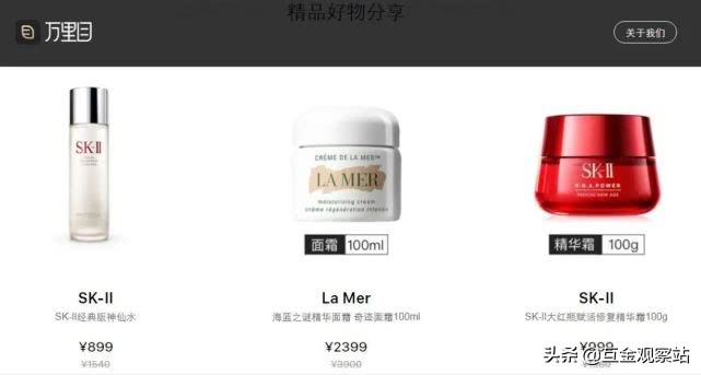 罗敏奢侈品代言,罗敏创业过程