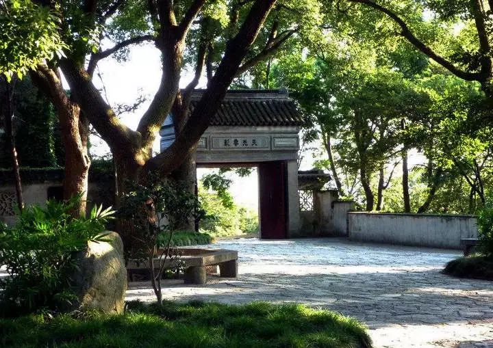 山花野鸟｜园林花语