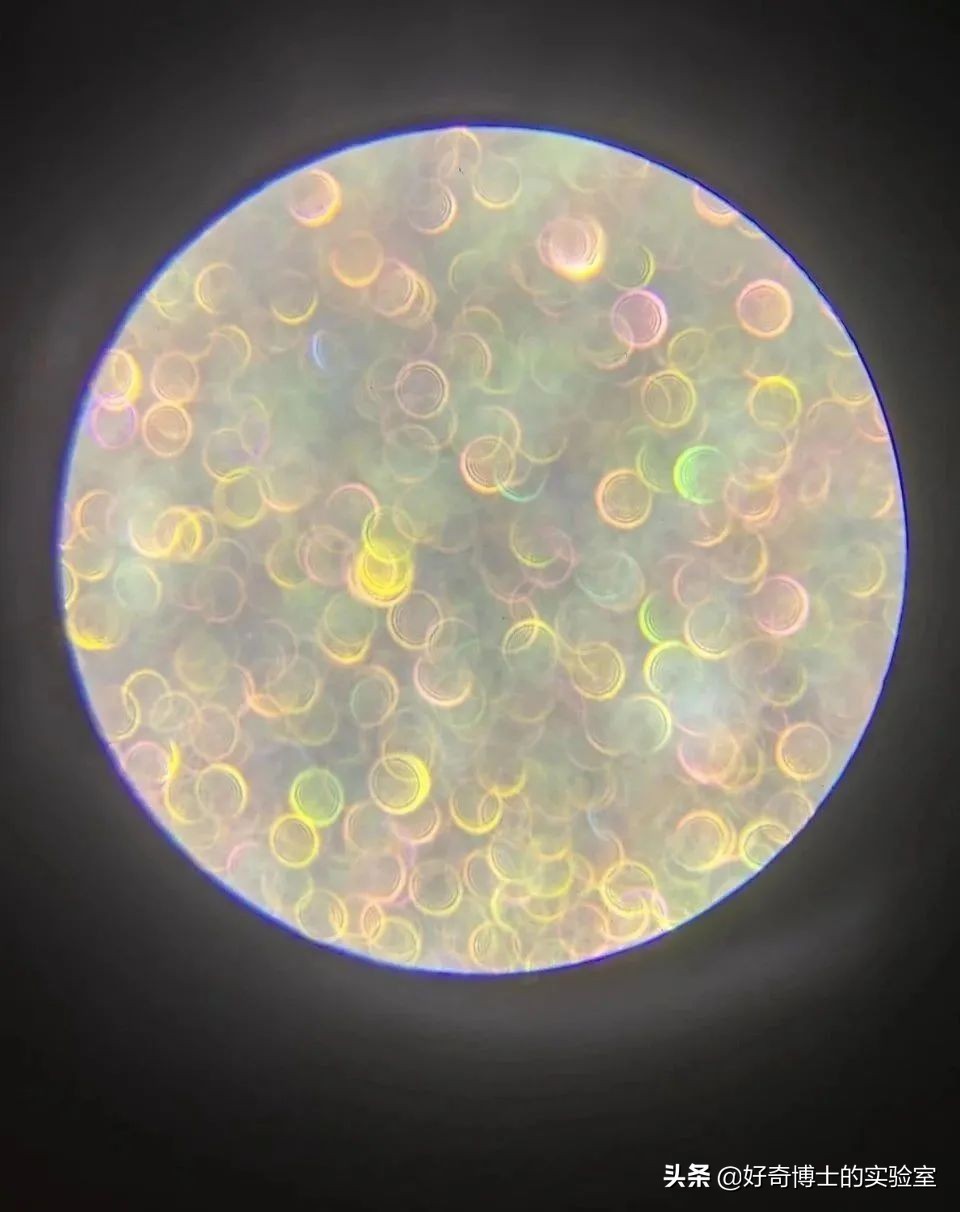 鹌鹑蛋上的花纹可以擦掉吗,鹌鹑蛋的花纹有哪几种