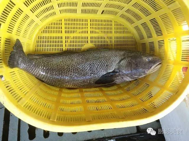 吃海鲜也要讲究时令,吃海鲜最佳的季节是什么时候