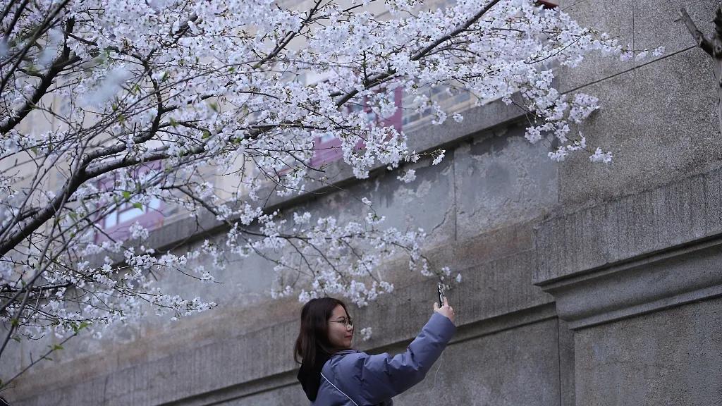 图观天下图片,图观天下图