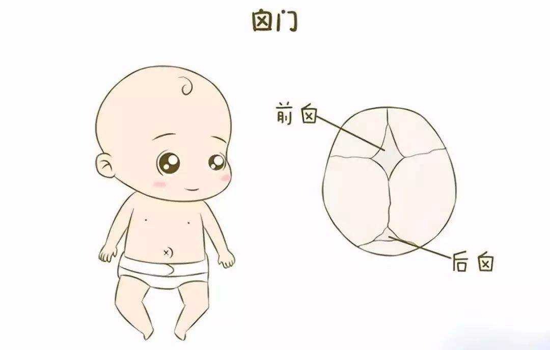 新生儿不满100天不能去外婆家,新生儿不能抱超过2小时