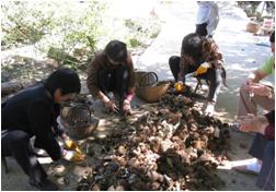 临沂蒙山大洼，自由地享受山里的美食与风景（自驾游）