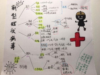 疫情思维导图小学,疫情对教育的深度思考