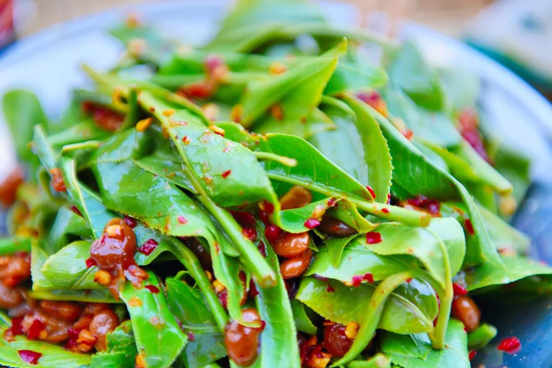 这是一个生机勃勃的地方关于它的故事才刚刚开始