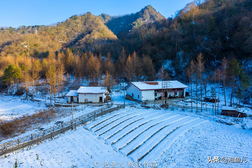 陕西秦岭发现的石头,捡石头下雪了后续