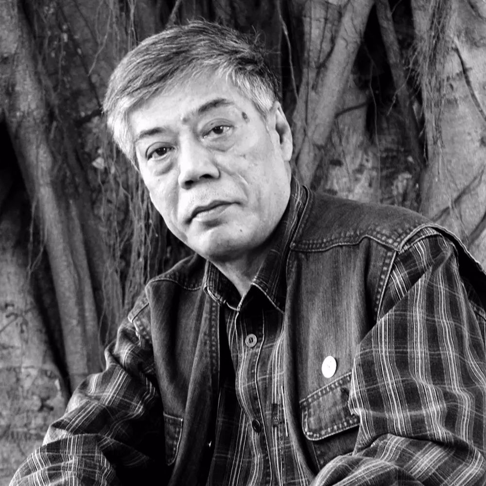 陈永锵拍卖,陈永锵红棉