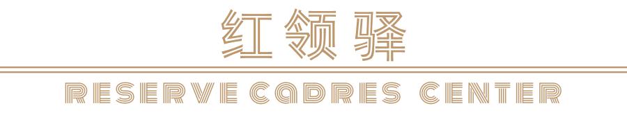 机关公文格式规范设置方法,机关公文的格式设置规范大全