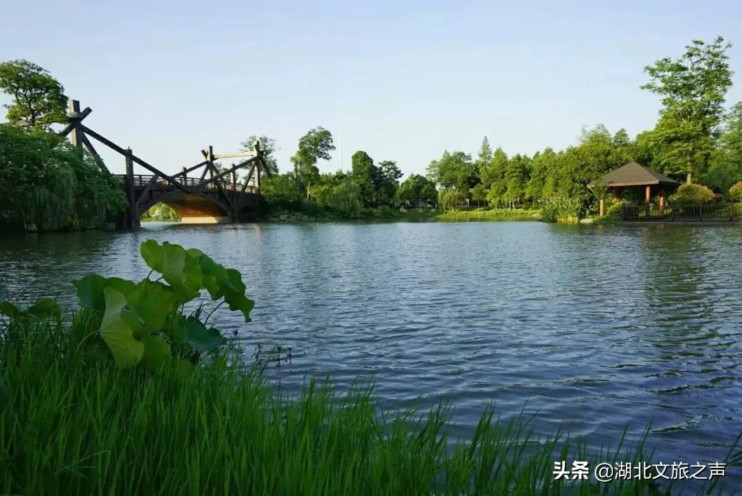 清明踏青，去悦兮半岛寻找春天的快乐