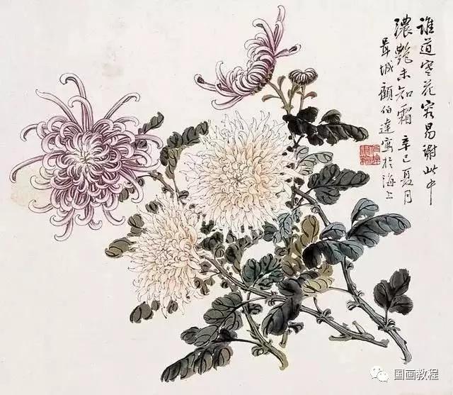 淡雅菊花国画100幅临摹,国画深秋菊花风景写意