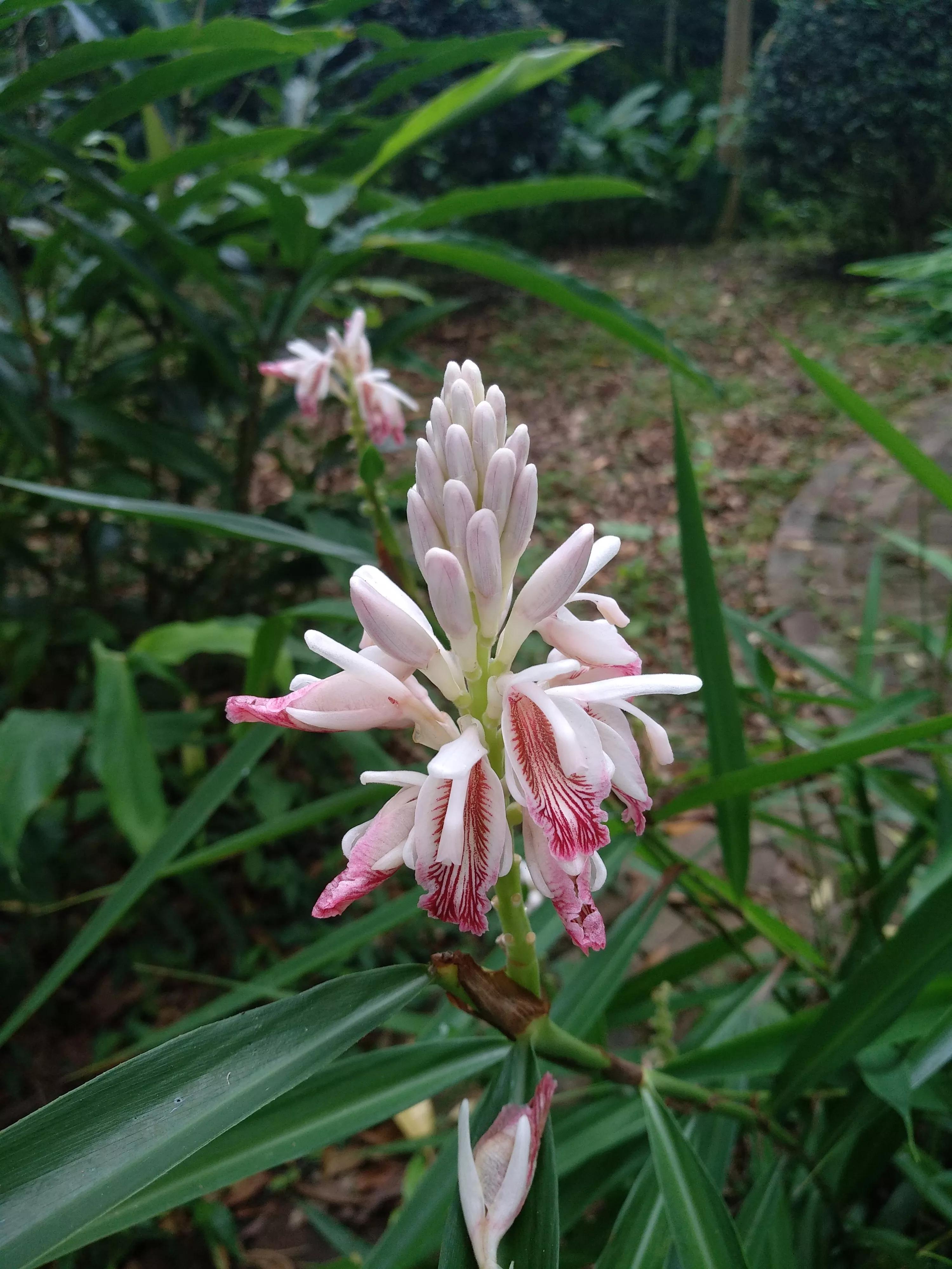 高考后想学临床医学,高考后想学中医
