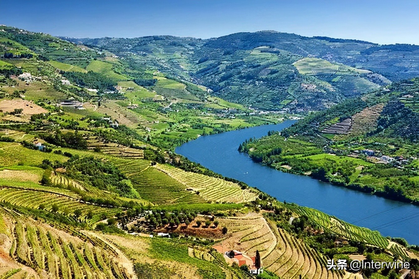 世界三大葡萄酒产区,世界上最有名的葡萄酒酿酒区
