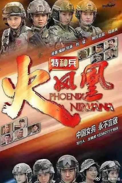 历年电视剧网播冠军,2010年最新电视剧排行榜