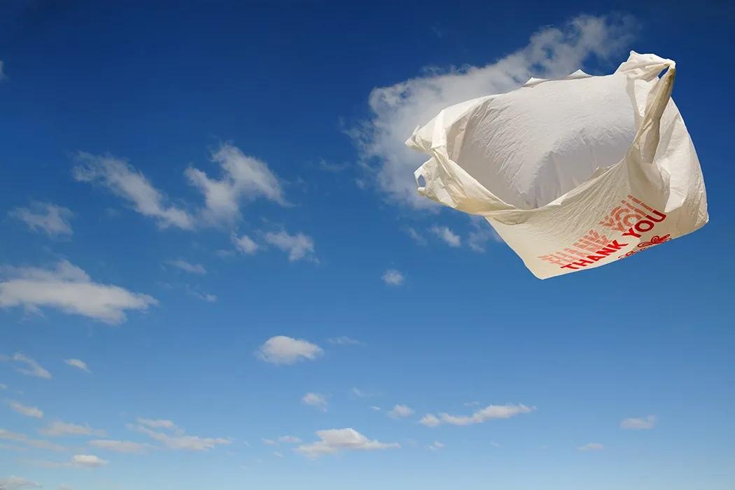 乔欣的爱马仕包包,乔欣同款ysl包包