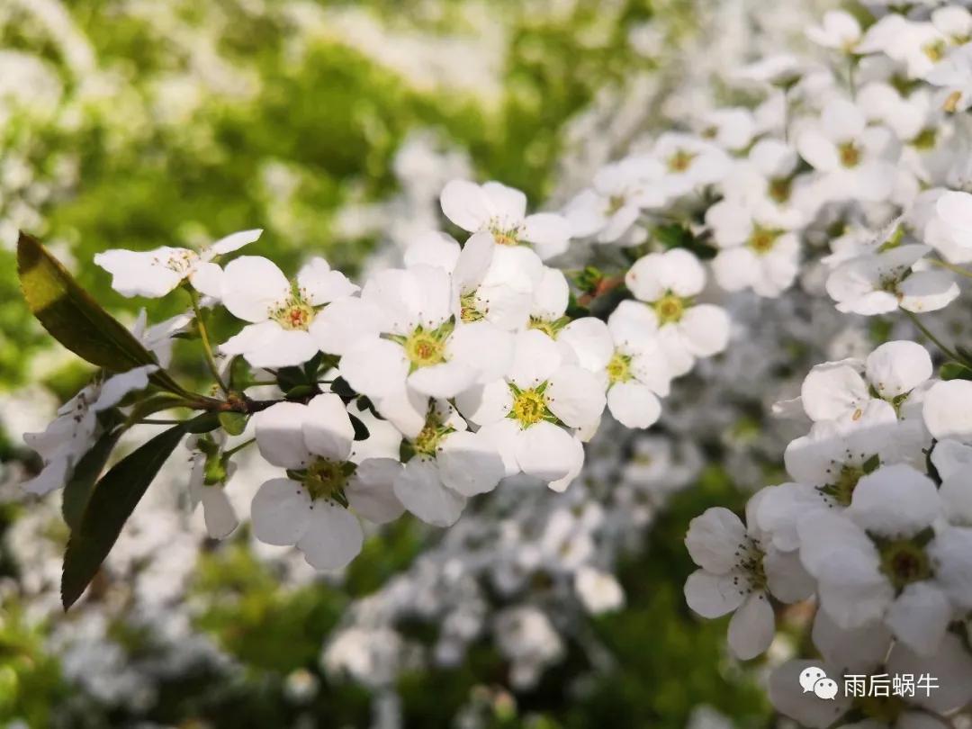 蹉跎岁月留下的痕迹,蹉跎岁月历经坎坷曲折