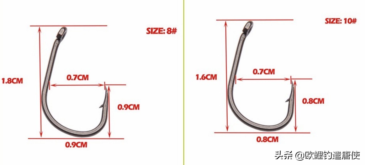 钓鱼也是一种技术,科学钓鱼的基本原理