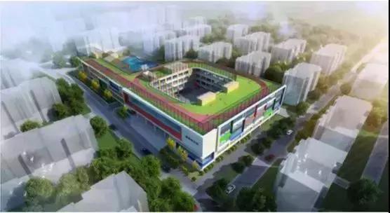 青岛学区房未来5年规划,青岛市区热门学区房价最全摸底