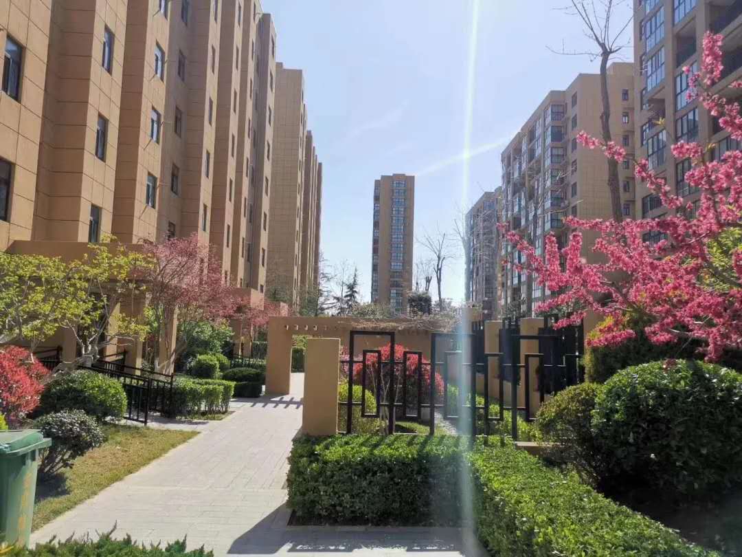 威海银滩海景房的前景,山东威海银滩海景房价格