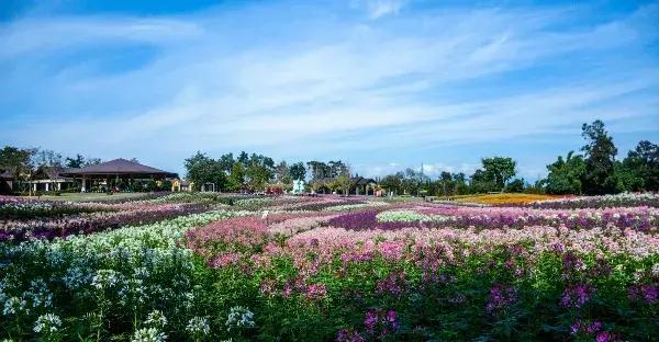 石象湖优惠,石象湖门票免费领取