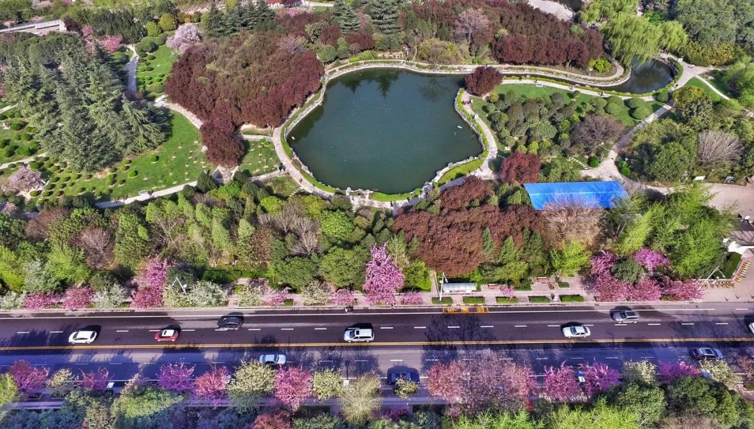 五一“high购”地图上线，来高新开启你的”玩“美假期