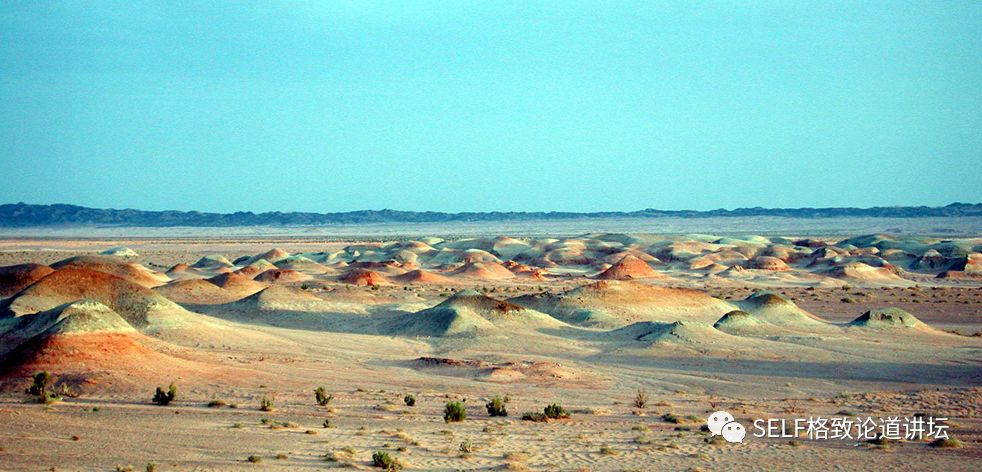 关于恐龙的研究详细,恐龙食谱大全及做法