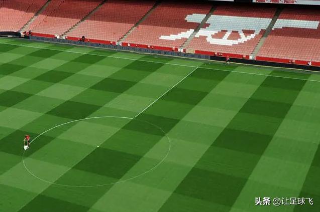 卓尔草皮喷绿漆,卓尔主场草皮事件结果