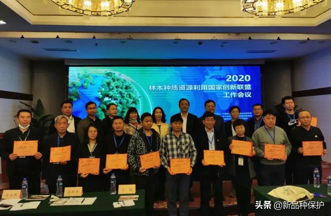 优良品种有哪些,最好的品种是哪一种