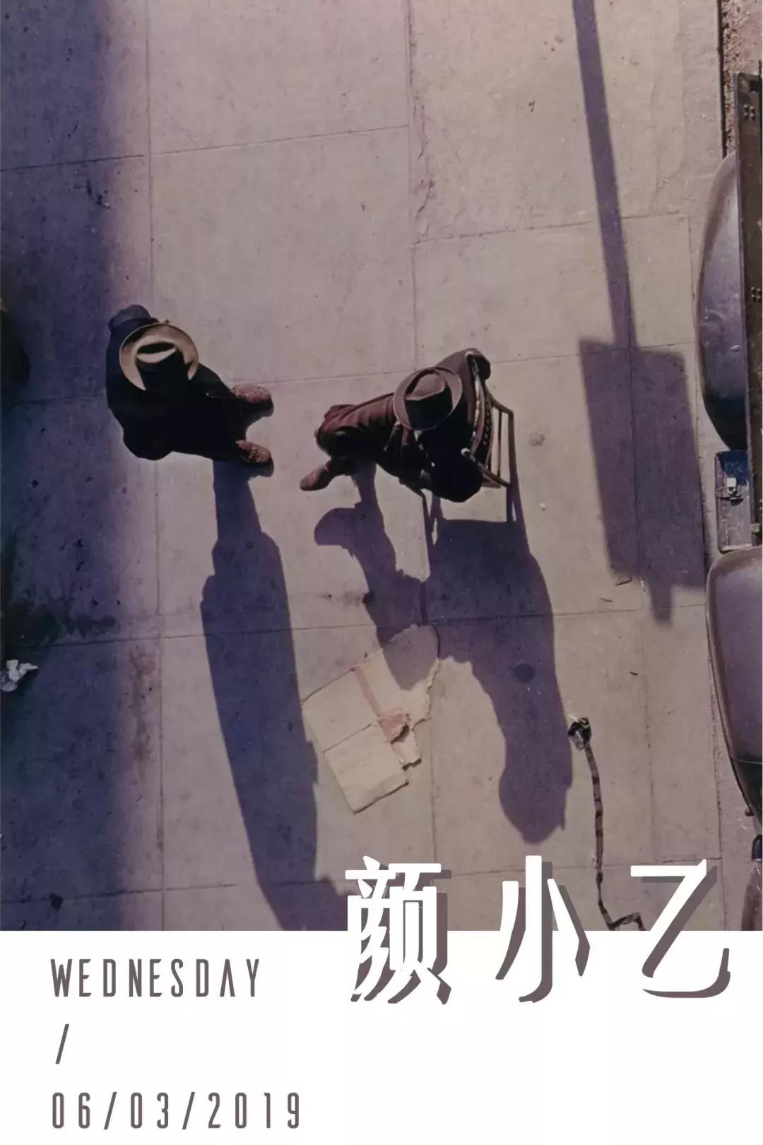 交易猫被央视曝光,收养流浪狗的真实记录