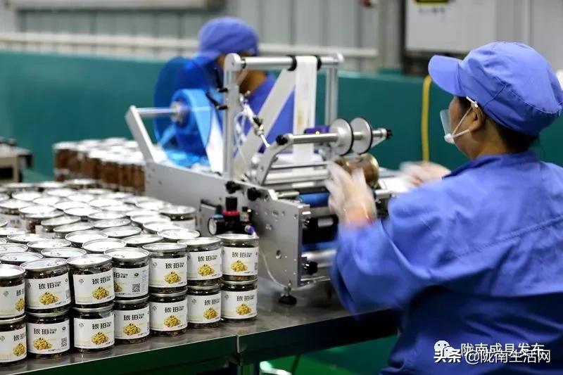 我叫成县，这是我2019年的自拍照