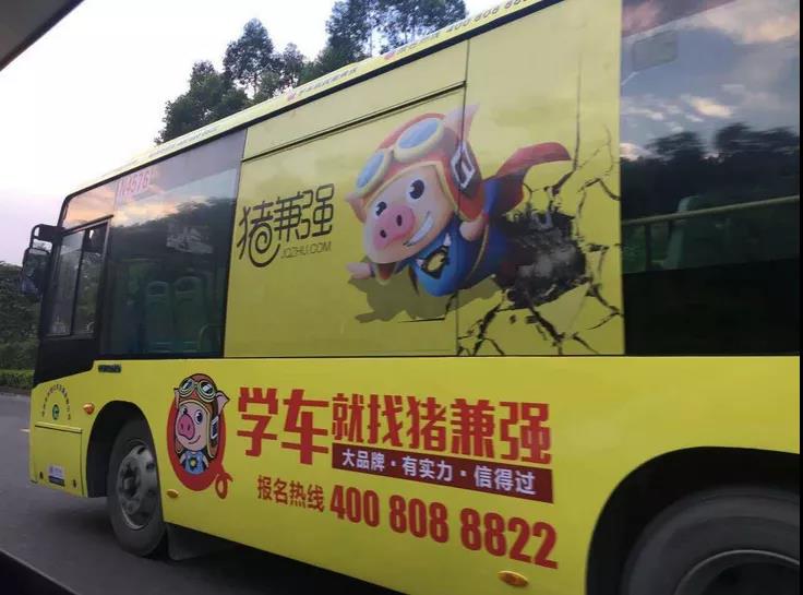 网红驾校“猪兼强”倒闭始末:从收款10秒到退费10个月