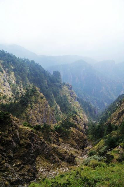 山区农民怎么走上致富路,山区有什么致富项目