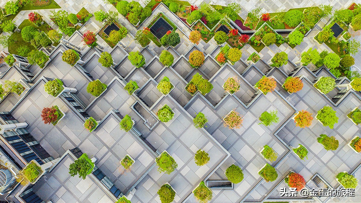 上海天安千树1分钟镜头,上海网红建筑天安千树