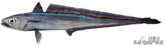 春节必买的海鲜,一年四季海鲜怎么选