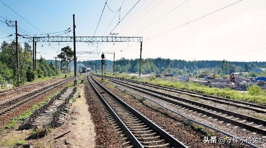 10个蔬菜冷知识,关于黄瓜的四个冷知识大全