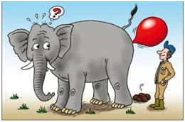 家长们,别再羞答答了,快亲手替孩子填上“*启蒙性**”这个坑吧!