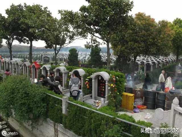 公墓多年没交钱怎么处理,公墓到期没有家人续费会怎样处理