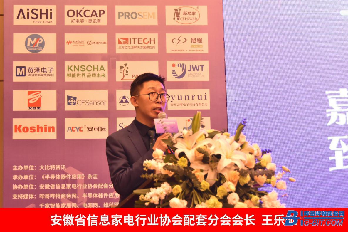 首届合肥家电电源与智能控制研讨会圆满结束