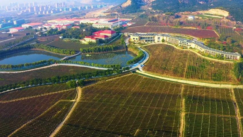 广东，经典焕新，长城华夏携手水哥酒业再出发