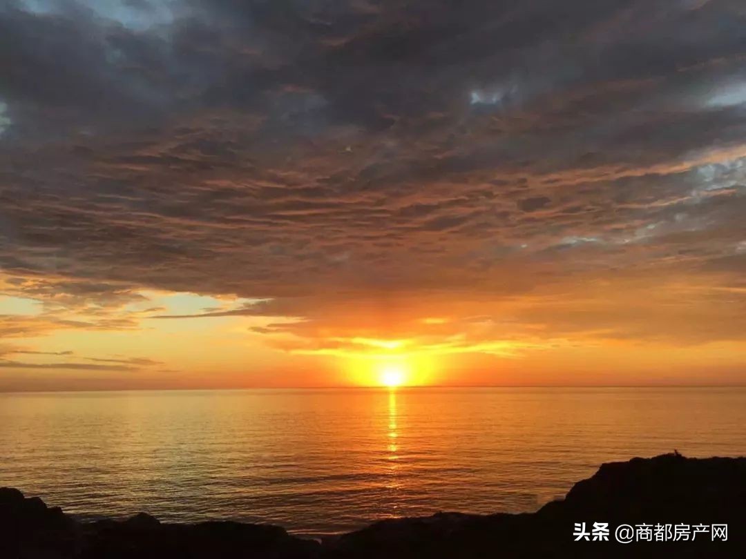 近20年，干3件事，正弘北区之路，初心未改