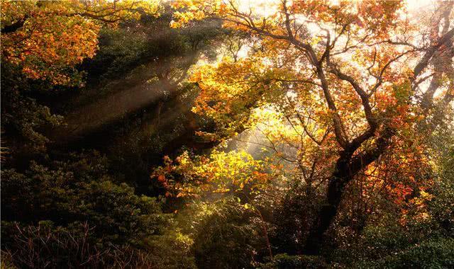 江西瑶里旅游攻略,瑶里旅游攻略自驾游