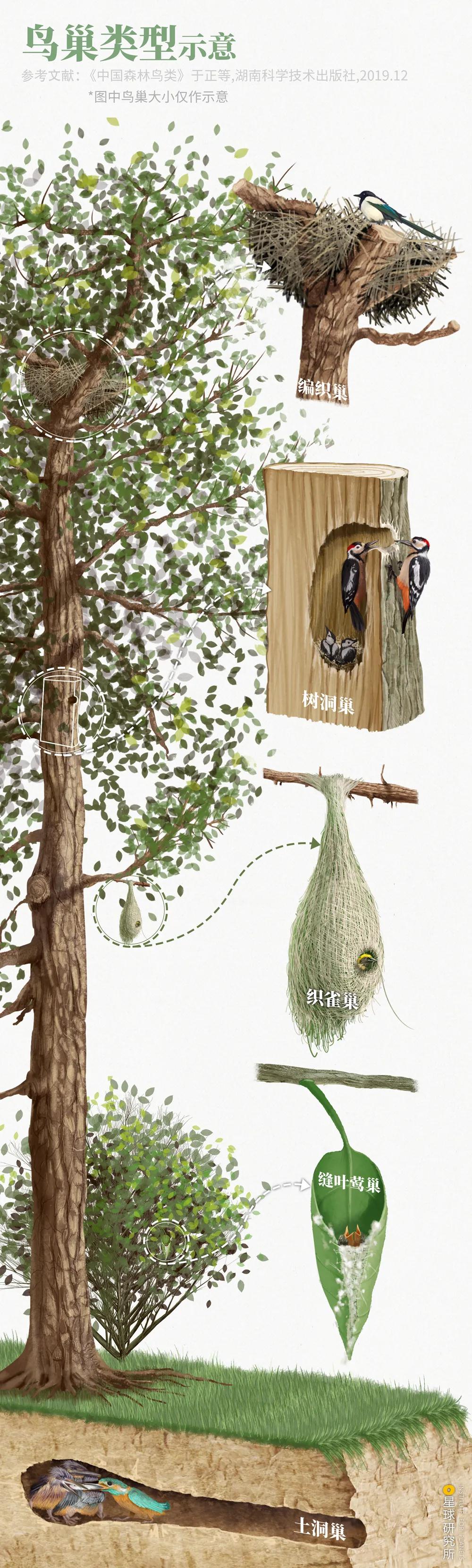 林草领域知识图谱,林草科普专业术语