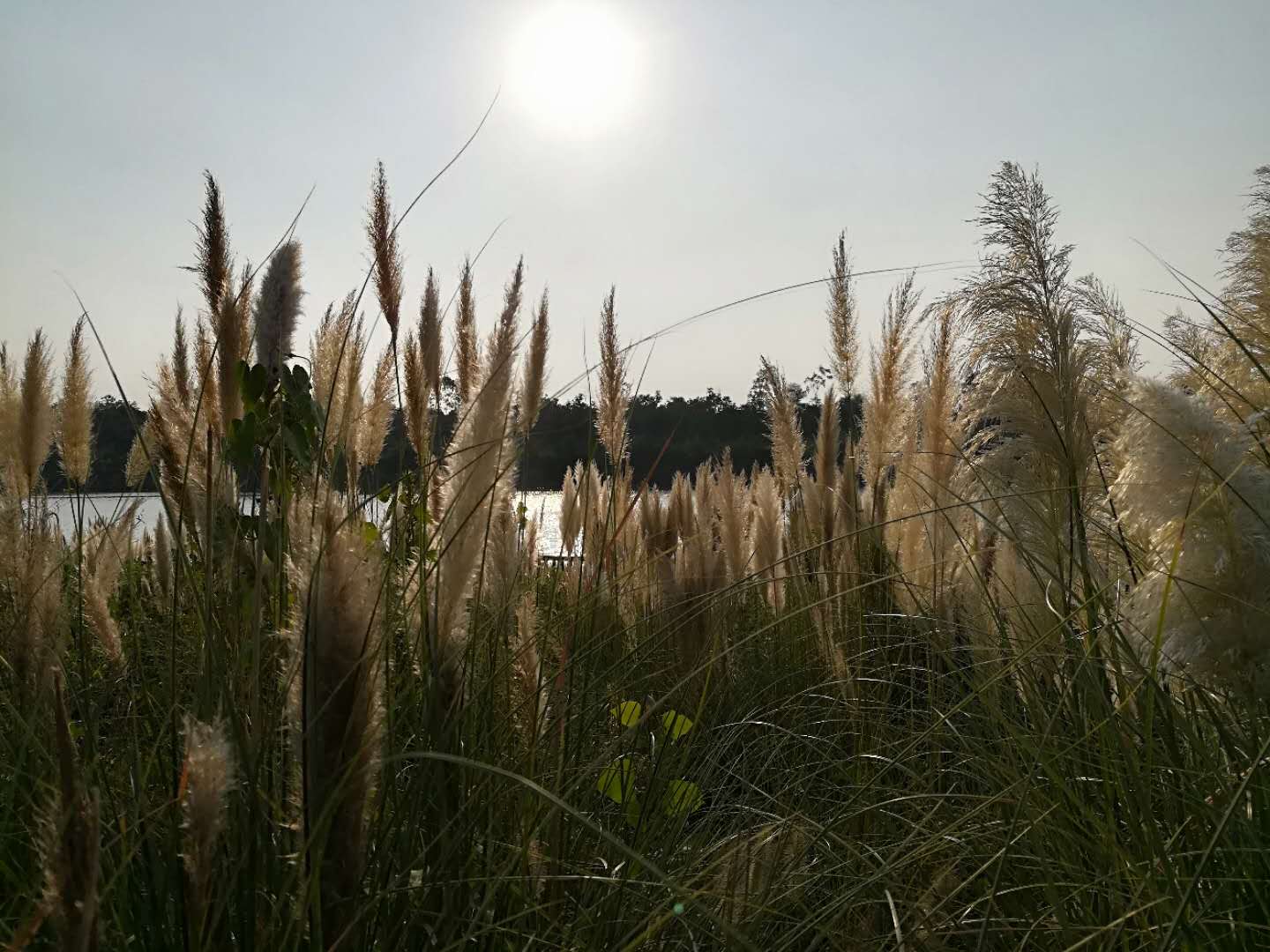 太和县太和印象商业街,阜阳太和印象