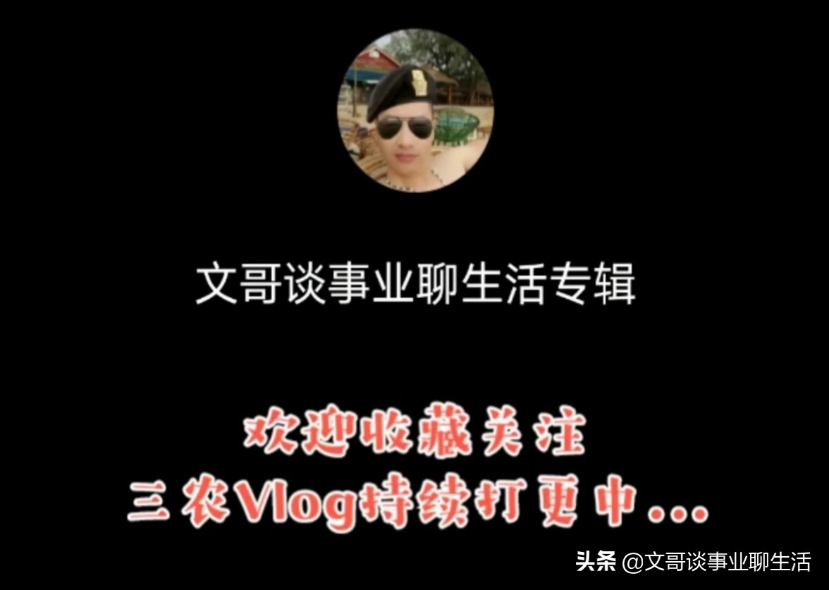 三农无本钱养鸡加盟合作,农村养鸡创业代养