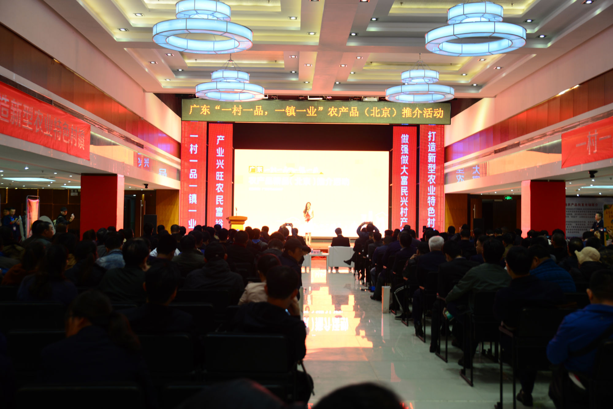 岭南佳果你知道的有哪些,广东岭南佳果有哪些