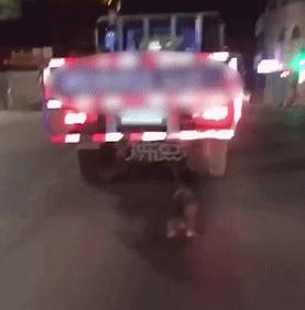 连踹四脚男子街头踢死小猫,男子虐待猫咪被学生暴打