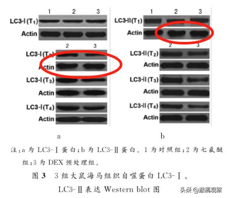 中国全科医学杂志退稿快吗,中国医学论文被撤名单