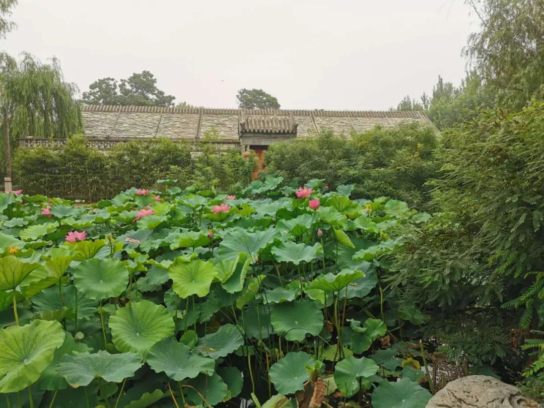 走进北京蟹岛垂钓园,蟹岛垂钓园联系方式