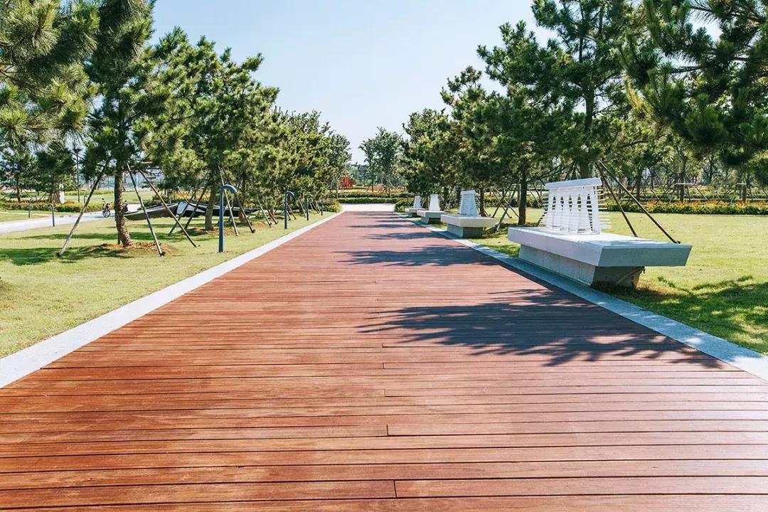 青岛滨海公园在哪里最好,青岛石老人海滨公园