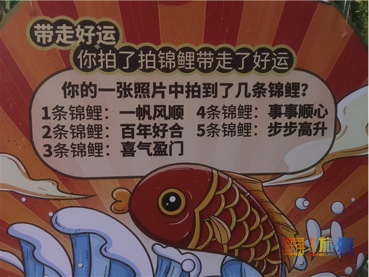 北京动物园海洋馆锦鲤,北京海洋馆锦鲤